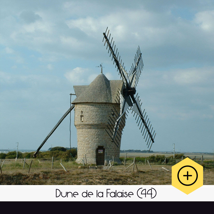 Dune de la Falaise