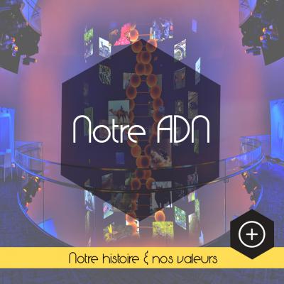 L'ADN de l'entreprise