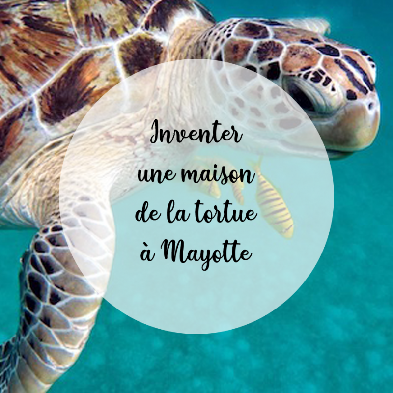 7e projet dans l'Océan Indien