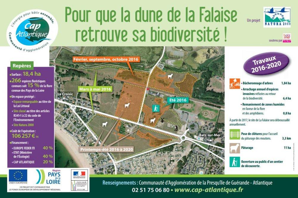Pour que la dune de la falaise retrouve sa biodiversite 6409