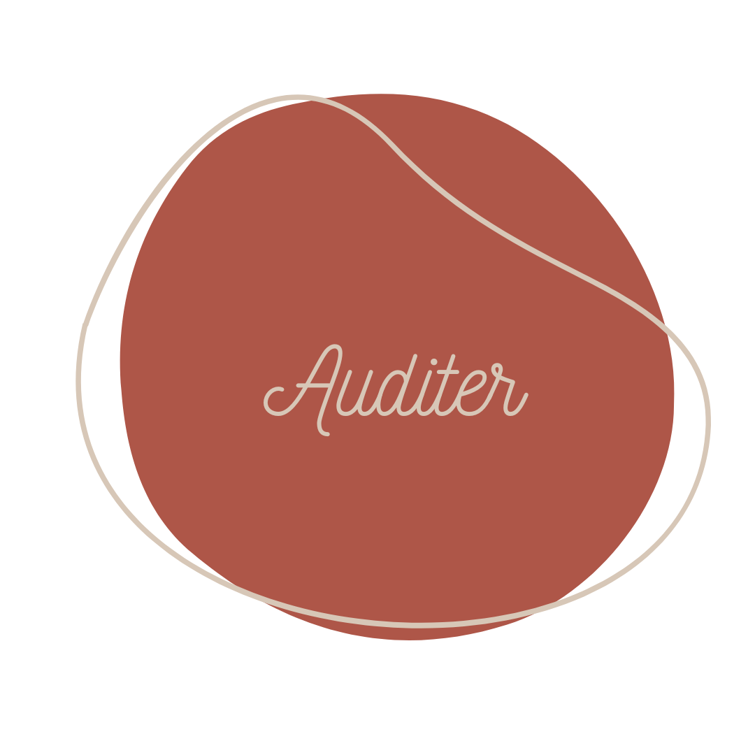 Auditer